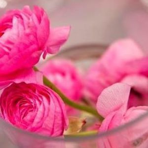 Meet your Posher, Zainab